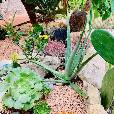 Casa Dei Limoni Lejlighed